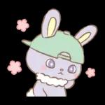 PEKO醬☆冬季繽紛