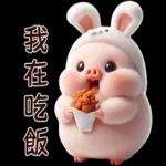 Piggy Rabbit so Cute