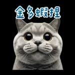 起肖貓貓★台語卡唬爛!