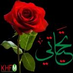 وتذكر دائما أنك تعني لي الكثير