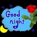 your kiss before bed❤️😘