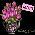 من الذي فاتك؟