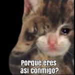 Porque eres asi conmigo?