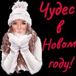 с новым годом