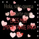 Hola, solo queria recordarte que  ERES MUY  IMPORTANTE PARA  MI