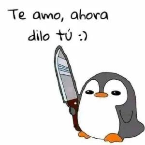 XFv8he