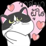 ว้าวุ่นเลยขอรับ😊