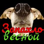 Запахло весной