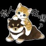 柴柴與貓咪 pack2