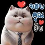 ขอบคุณงับ