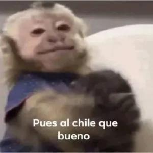 Qy35mz