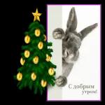 с новым годом