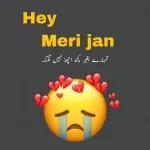 Hey Meri jan تمہارے بغیر کچھ اچھا نہیں لگتا۔