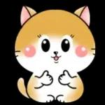 Cats! For reply