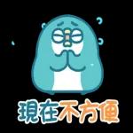 PP mini 小小企鵝-辦公室