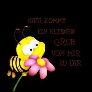ppbpomr