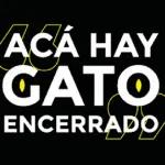 acá hay gato encerrado