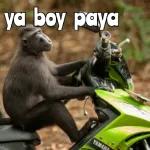 estoy cansada