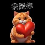 可愛的橘色肥貓!