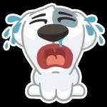 Spotty
                            Andrey Yakovenko