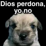 Dios perdona, yo no