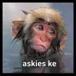 Ke palelwa ke go hema A