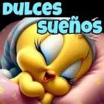 Descansa Buenas noches