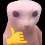 👉🏻👈🏻