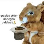 monos lokos