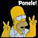 Buen dia