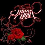 Red rose🌹