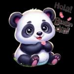 Buenos días y noches