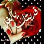Live
عبي
غاليه