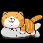 白爛貓11☆超級萌☆