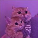 happy