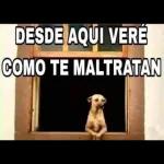 Omar 3