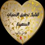 ملصقات 