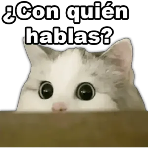 ¿Con quién hablas? - getsticker.com