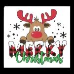 wish you Merry Christmas