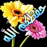 مروان على الفلسطيني