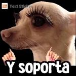 nomas wacha.