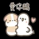 天竺鼠布丁～～超可愛鴨