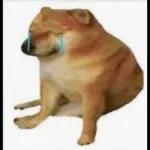 Ay Babosa me asustas Burra