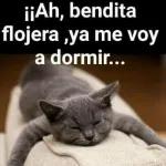 Buenos dias 