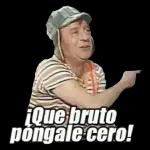 Yo no entender lo que tu decir.