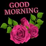 BLESSING FALL ON YOU 