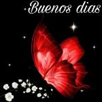 Buenos dias