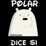 polar 2