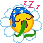 Buenas noches