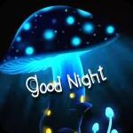 אנה איגולניקוב